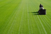 Filtros zonas verdes / golf