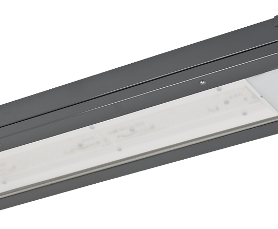 TLP 39 MLED