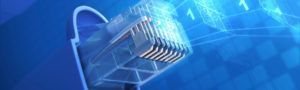 Cable bus y ethernet