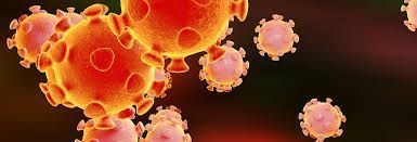 PLAN DE CONTINGENCIA PARA LAS EMPRESAS DE LA REGIÓN DE MURCIA FRENTE AL CORONAVIRUS COVID 19